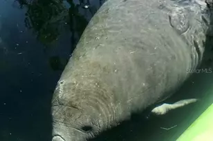 1376 Riverside Ave, Fort White, FL 32038 - Photo 35