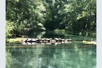 1376 Riverside Avenue, Fort White, FL 32038 - Photo 37