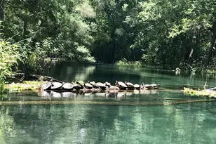 1376 Riverside Ave, Fort White, FL 32038 - Photo 37