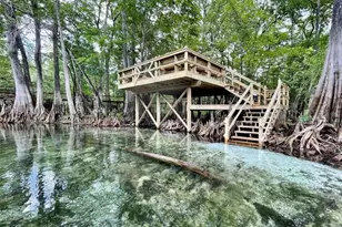 1376 Riverside Ave, Fort White, FL 32038 - Photo 3