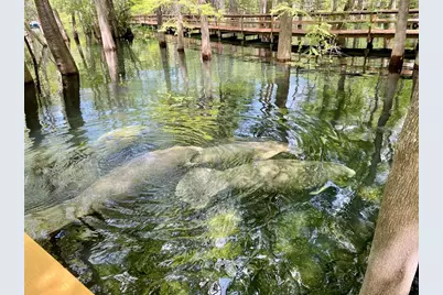 1376 Riverside Avenue, Fort White, FL 32038 - Photo 39