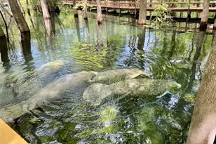 1376 Riverside Ave, Fort White, FL 32038 - Photo 39