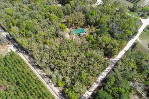 4049 NE 80th Ave, High Springs, FL 32643 - Photo 41