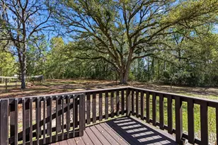 4049 NE 80th Ave, High Springs, FL 32643 - Photo 3