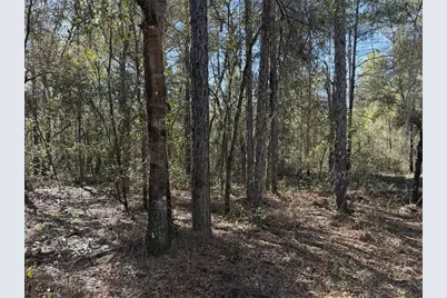 Se 7th Avenue, Interlachen, FL 32148 - Photo 3