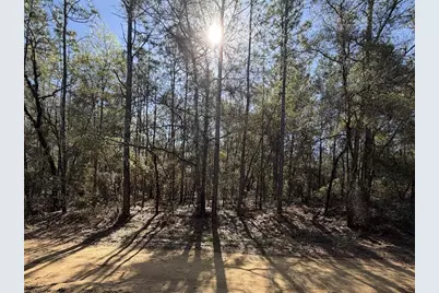 Se 7th Avenue, Interlachen, FL 32148 - Photo 1