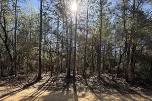 SE 7th Ave, Interlachen, FL 32148 - Photo 1