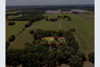 4351 NW 76th Court, Chiefland, FL 32626 - Photo 19