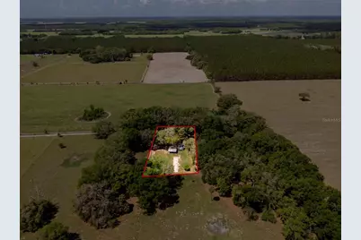 4351 NW 76th Court, Chiefland, FL 32626 - Photo 27