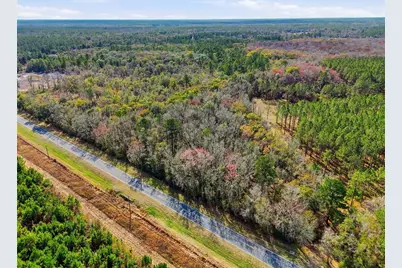 20994 SW County Road 18 #Lot 2, Brooker, FL 32622 - Photo 5