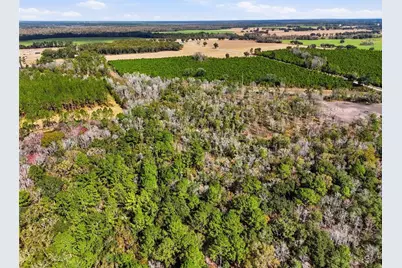 20994 SW County Road 18 #Lot 2, Brooker, FL 32622 - Photo 15