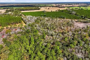 20994 SW County Rd 18, Brooker, FL 32622 - Photo 15