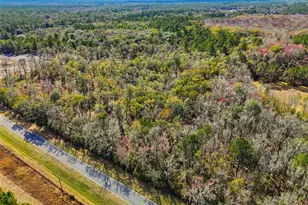 20994 SW County Rd 18, Brooker, FL 32622 - Photo 7