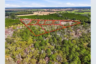 20994 SW County Road 18 #Lot 4, Brooker, FL 32622 - Photo 5