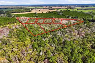 20994 SW County Rd 18, Brooker, FL 32622 - Photo 5