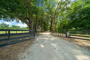 13576 NW County Rd 235, Alachua, FL 32615 - Photo 7