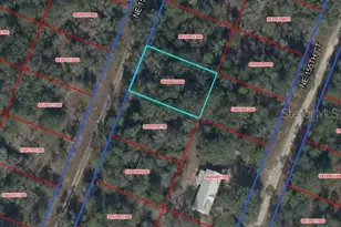 Tbd NE 154th Terrace, Williston, FL 32696 - Photo 1