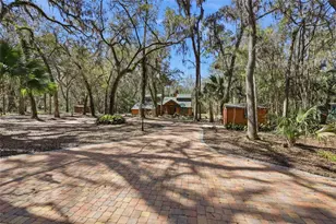 11922 SW 16 St, Micanopy, FL 32667 - Photo 11