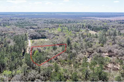 11922 SW 16th Street, Micanopy, FL 32667 - Photo 5