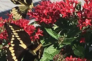 4250 NW 81st Ln, Bell, FL 32619 - Photo 49