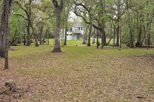 4250 NW 81st Ln, Bell, FL 32619 - Photo 35