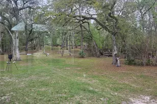 4250 NW 81st Ln, Bell, FL 32619 - Photo 45