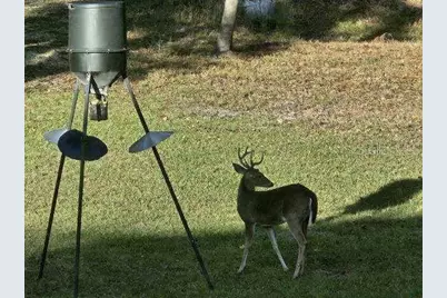 4250 NW 81st Lane, Bell, FL 32619 - Photo 33