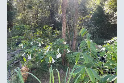 14977 SE County Road 2082, Hawthorne, FL 32640 - Photo 21