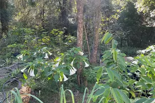 14977 SE County Rd 2082, Hawthorne, FL 32640 - Photo 21