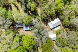 14977 SE County Rd 2082, Hawthorne, FL 32640 - Photo 41