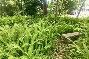 1723 NW 7th Ave, Gainesville, FL 32603 - Photo 35