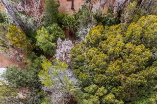 1723 NW 7th Ave, Gainesville, FL 32603 - Photo 43