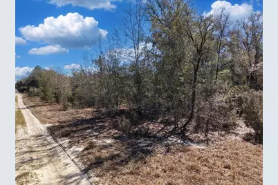 126th St, Bronson, FL 32621 - Photo 13