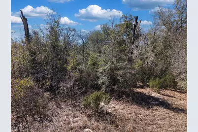 126th St, Bronson, FL 32621 - Photo 17