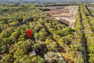 16319 NW 120th Pl, Alachua, FL 32615 - Photo 37