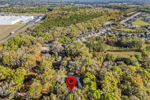 16319 NW 120th Pl, Alachua, FL 32615 - Photo 35