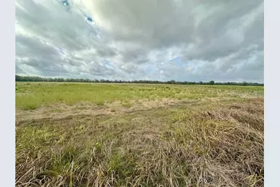 Sw 80th Street, Trenton, FL 32693 - Photo 5