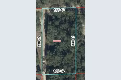 Tbd NE 120th Street, Bronson, FL 32621 - Photo 7