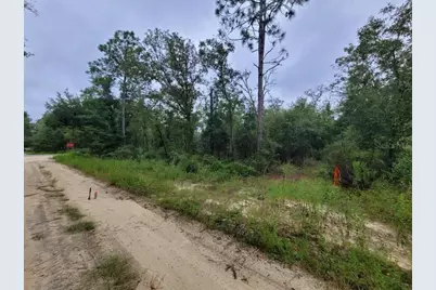 Tbd NE 120th Street, Bronson, FL 32621 - Photo 1