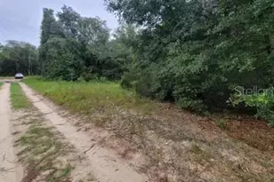 Tbd NE 120th St, Bronson, FL 32621 - Photo 1