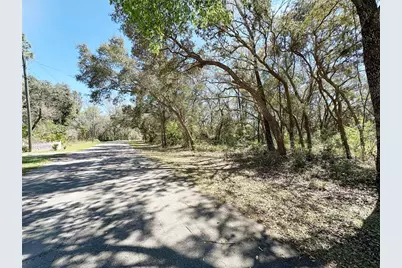 Tbd NW 110th Circle, Lot 3, Chiefland, FL 32626 - Photo 3