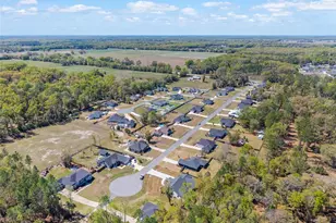 19780 NW 159th Pl, Alachua, FL 32615 - Photo 63