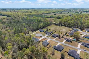 19780 NW 159th Pl, Alachua, FL 32615 - Photo 69