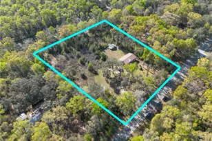 16564 NW 85th Terrace, Fanning Springs, FL 32693 - Photo 3