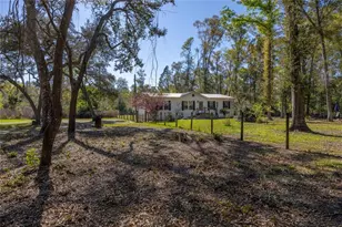16564 NW 85th Terrace, Fanning Springs, FL 32693 - Photo 5