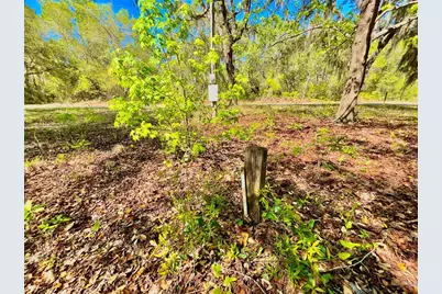 Lot 1 SE 16th Street, Melrose, FL 32666 - Photo 5