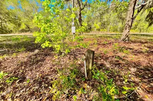 Lot 1 SE 16th St, Melrose, FL 32666 - Photo 5