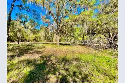 Lot 1 SE 16th Street, Melrose, FL 32666 - Photo 7
