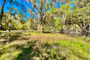 Lot 1 SE 16th St, Melrose, FL 32666 - Photo 7