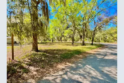 Lot 1 SE 16th Street, Melrose, FL 32666 - Photo 3